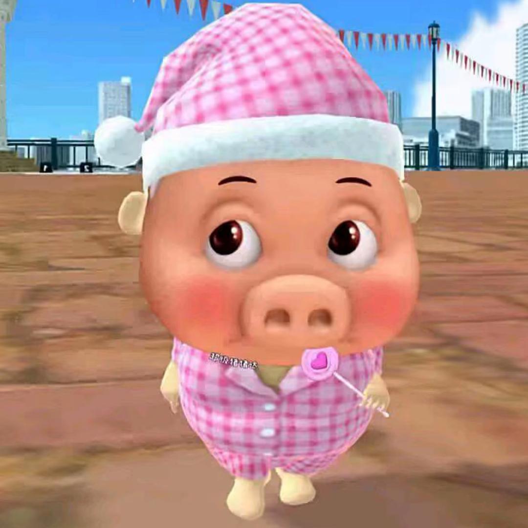 宅崽