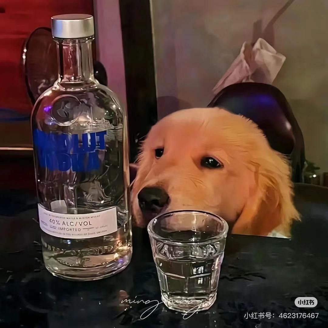 今天进不去