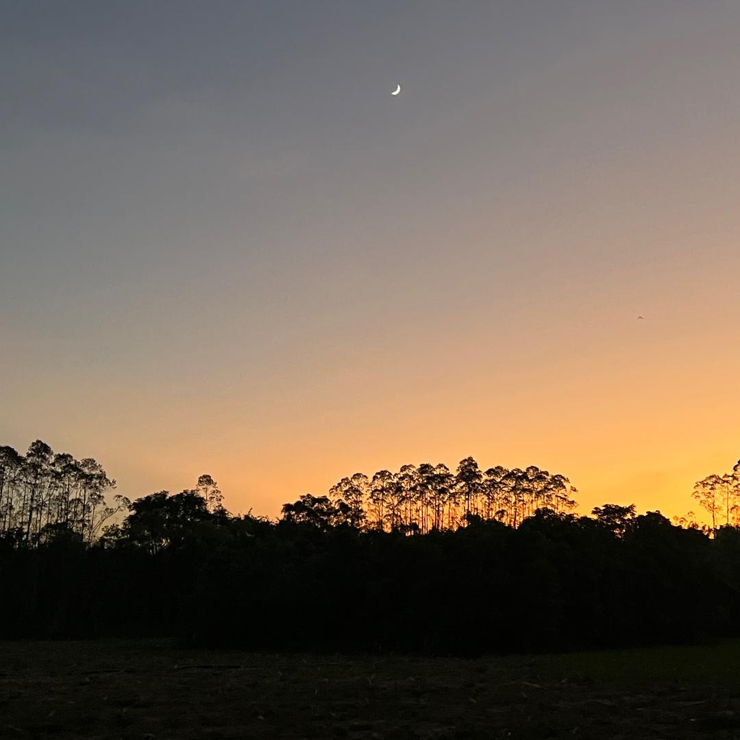 睡觉不眨眼·🐘