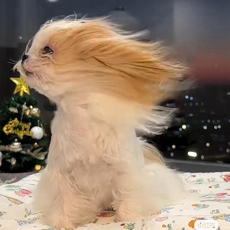 🌧️