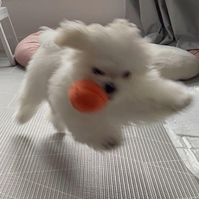 人间惊鸿风山涧