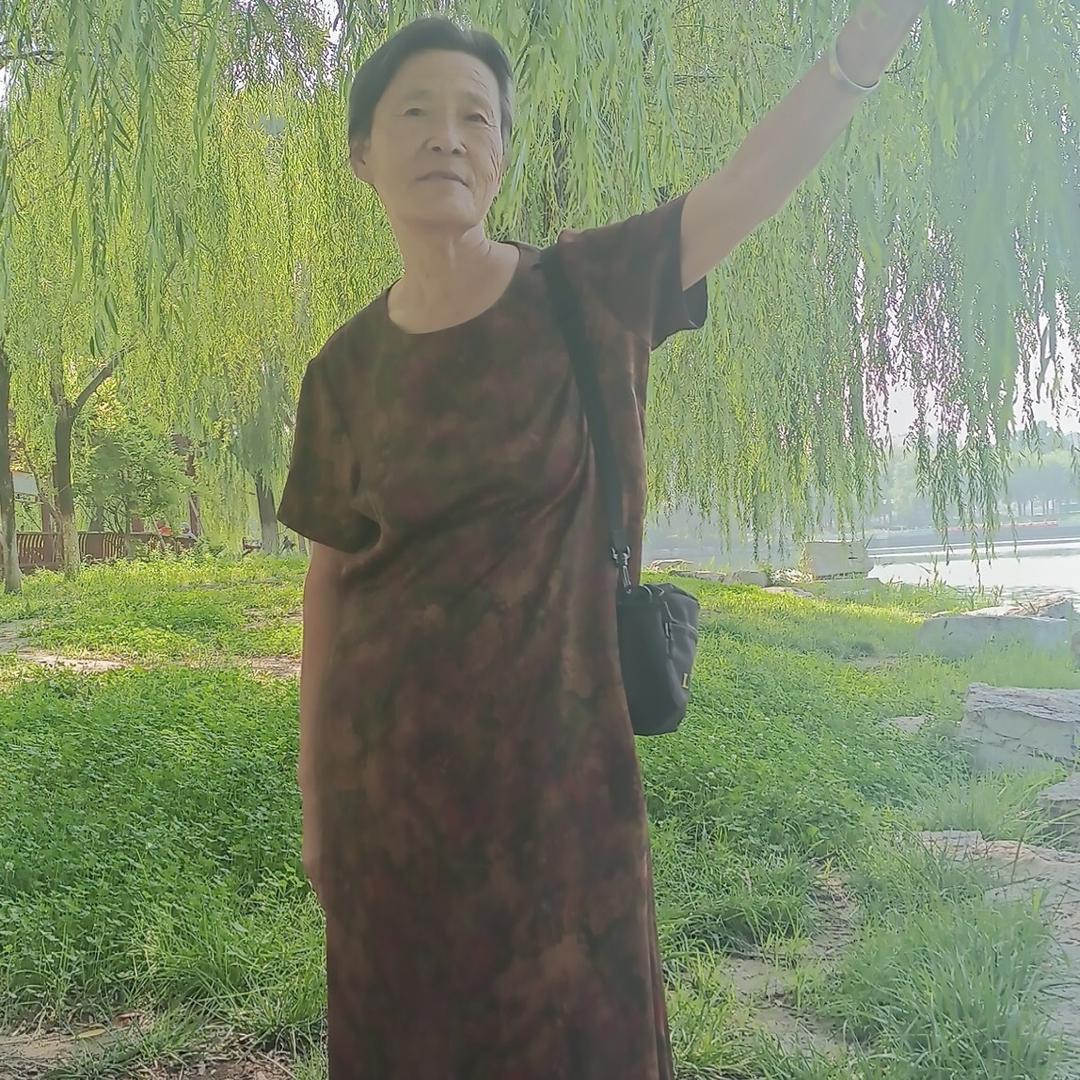 妙音居士王平 老师入