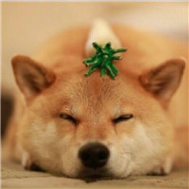 如水（逆战.未来）
