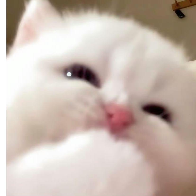 一粥困八天