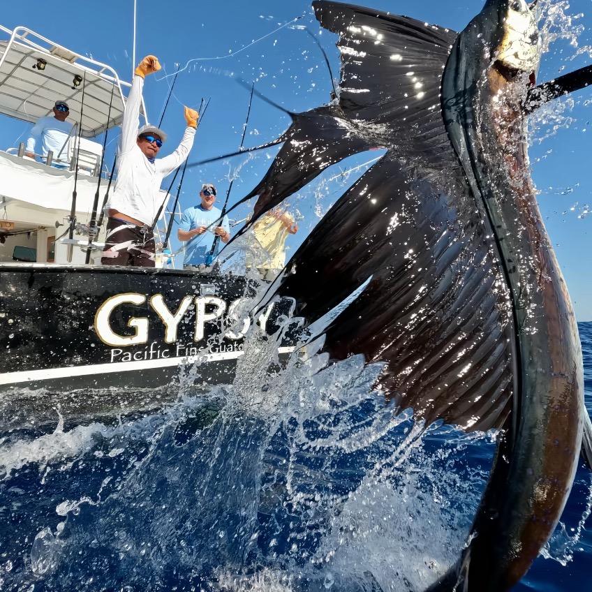 董大帅户外渔乐