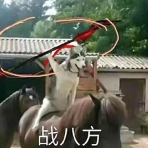 二次元反诈先锋