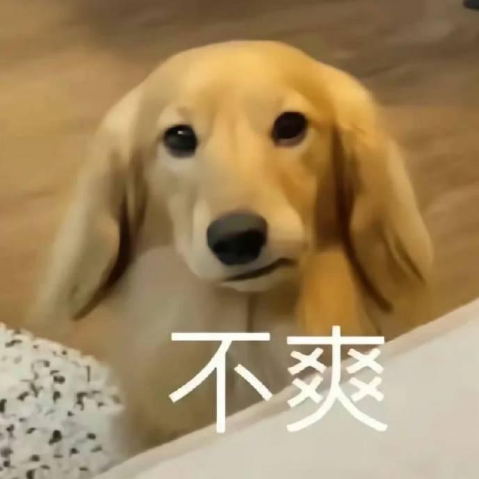 爱吃橘子🍊