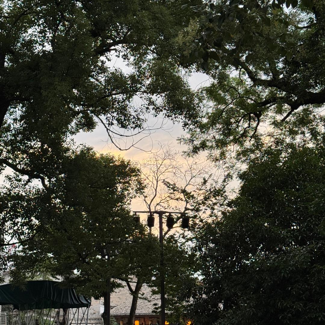 像烟火一样炙热