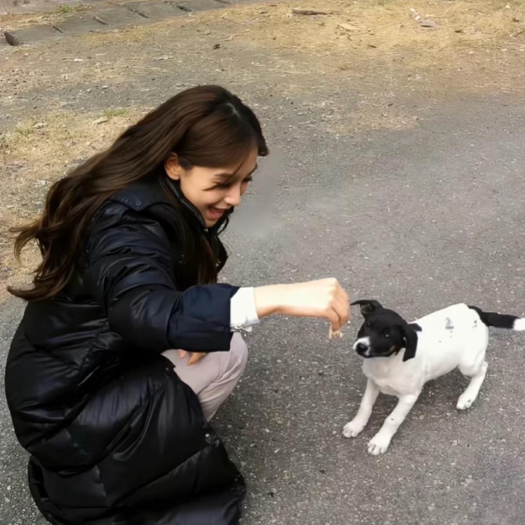 汉堡拯救世界！