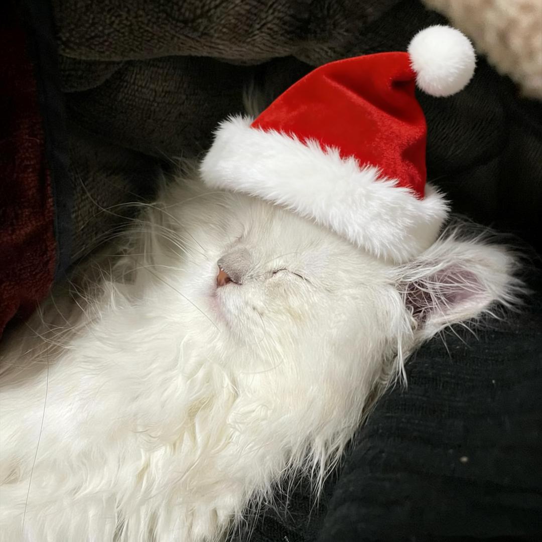 泪水打湿减脂餐，发誓瘦到130！