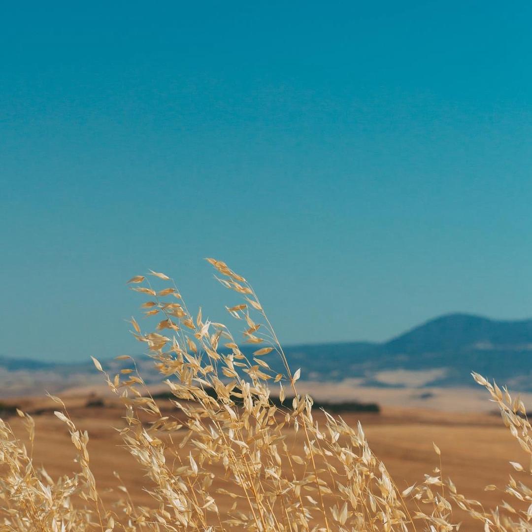 好好学习欧萱网络