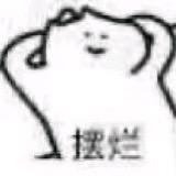 中华田园喵