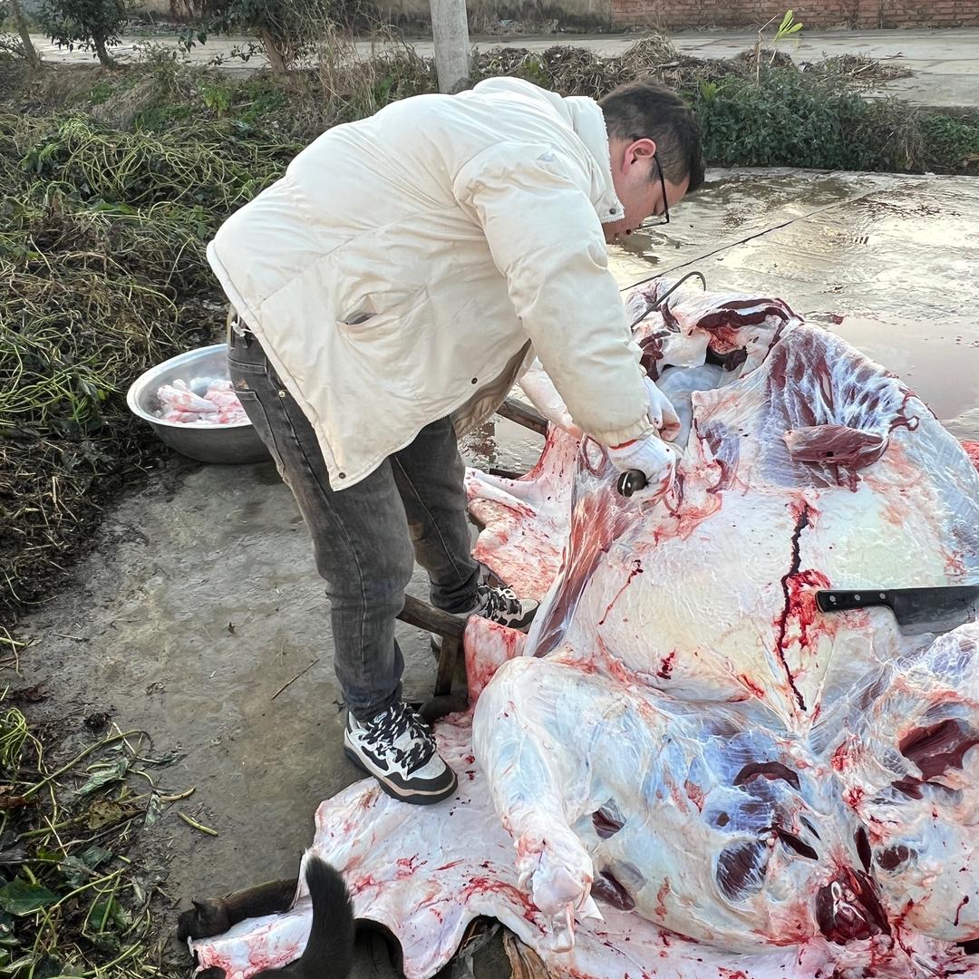 沙/正宗农村土黑牛肉🐃