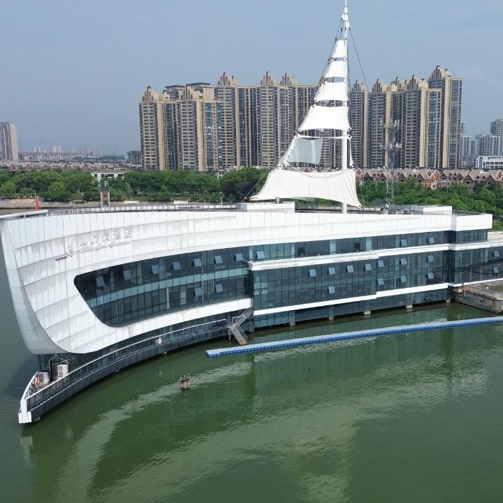 鳳舞九天