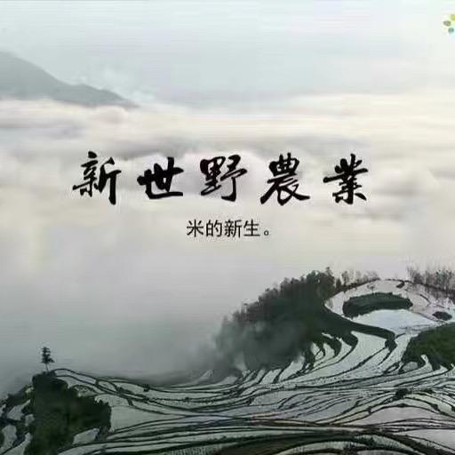 老王说米