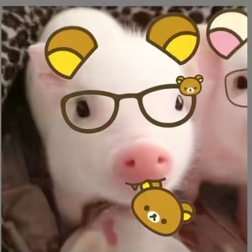 大钰妹妹（恩师绿毛）