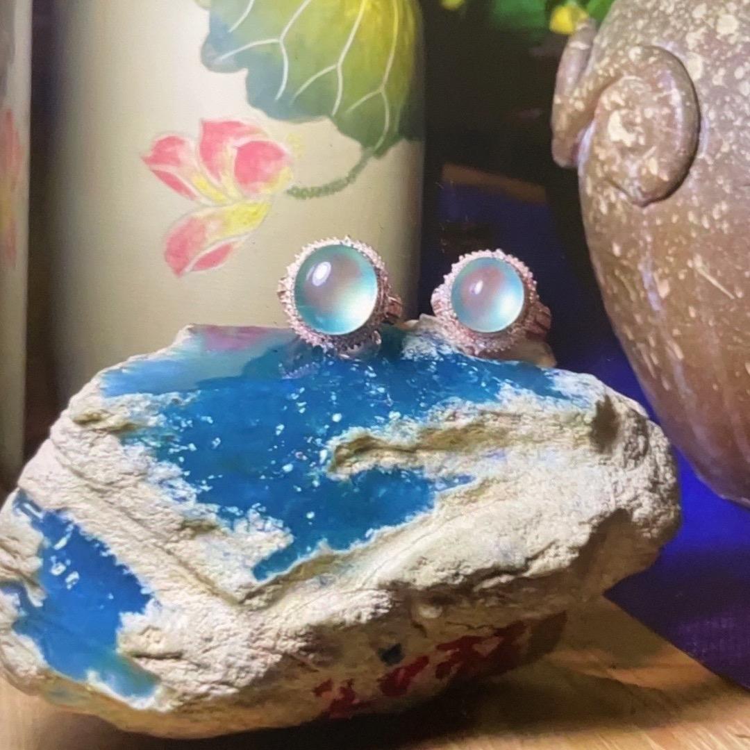 世湛--翡翠讲堂