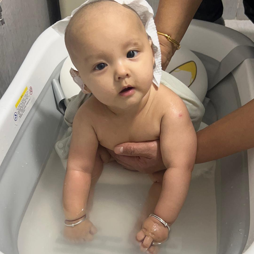 会发疯的小马