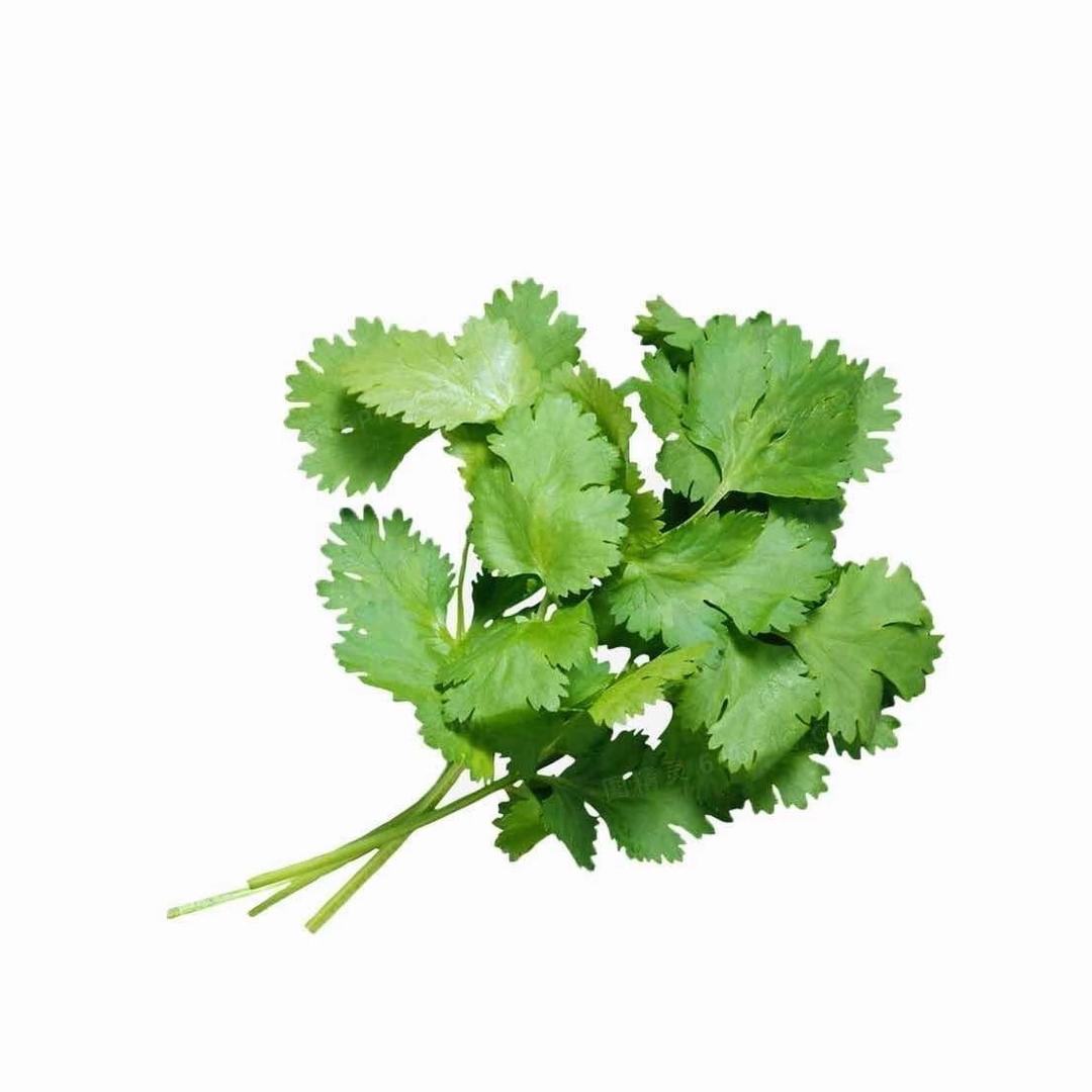 一顿吃两斤香菜