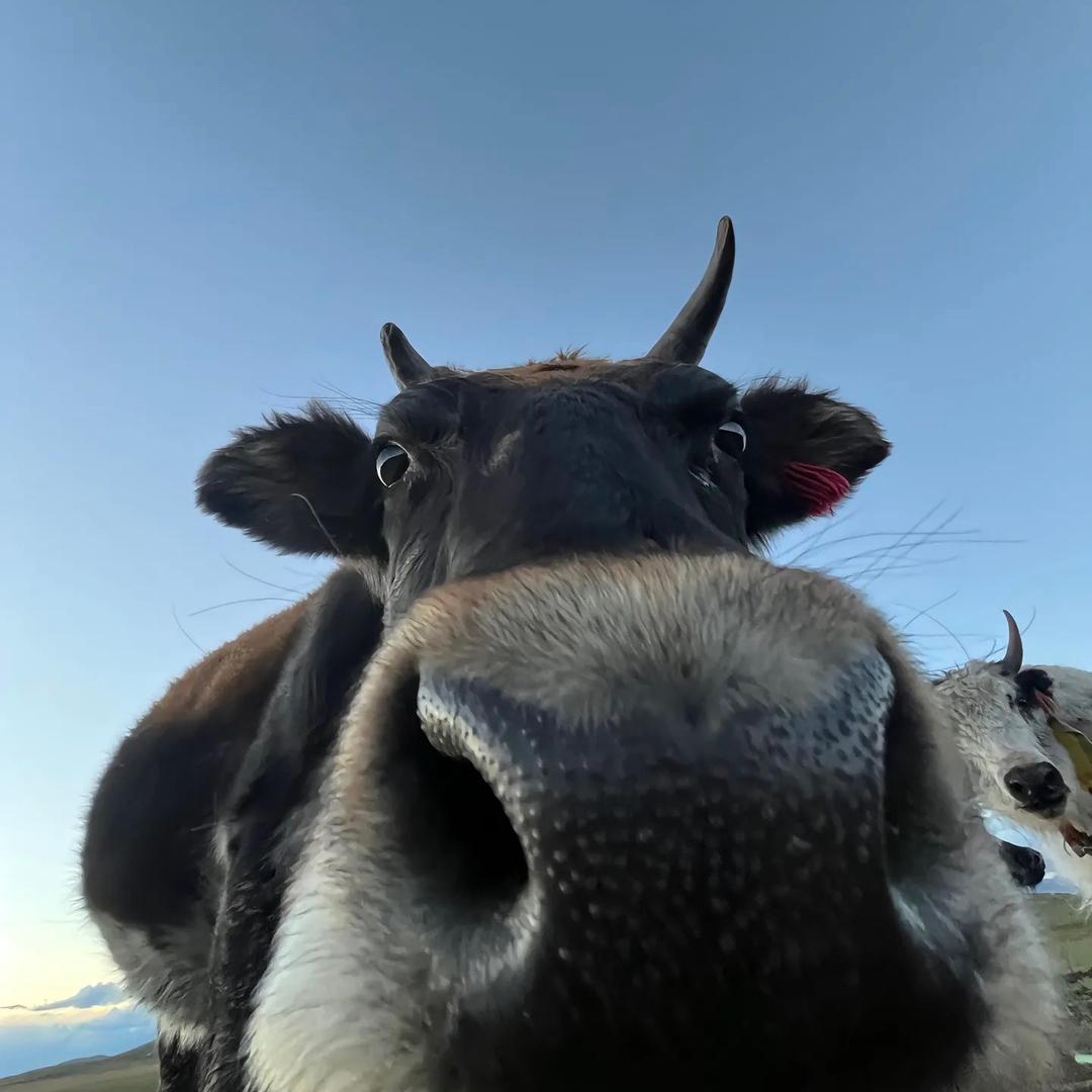 超人强也有心事