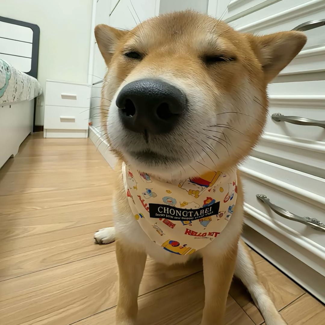 孤傲的雄鹰
