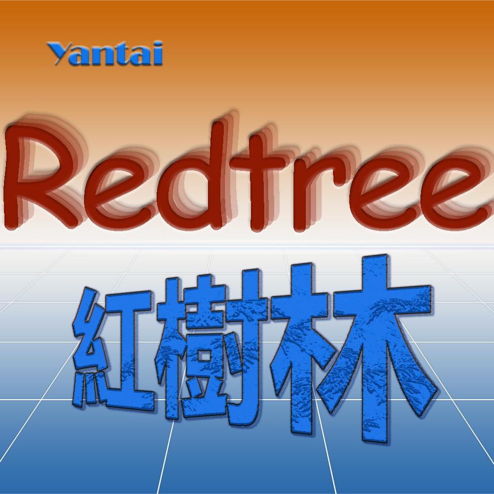 紅樹林