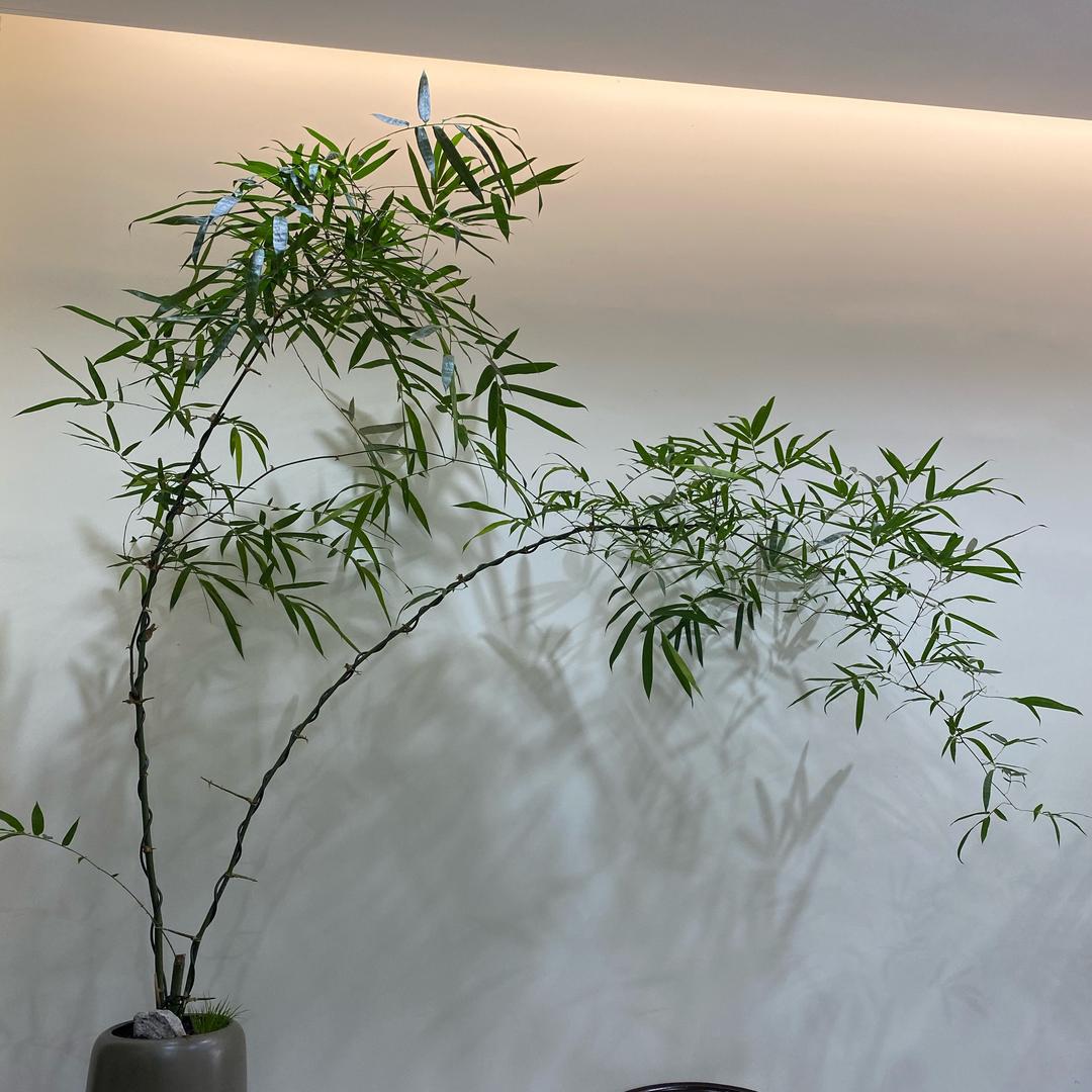漫