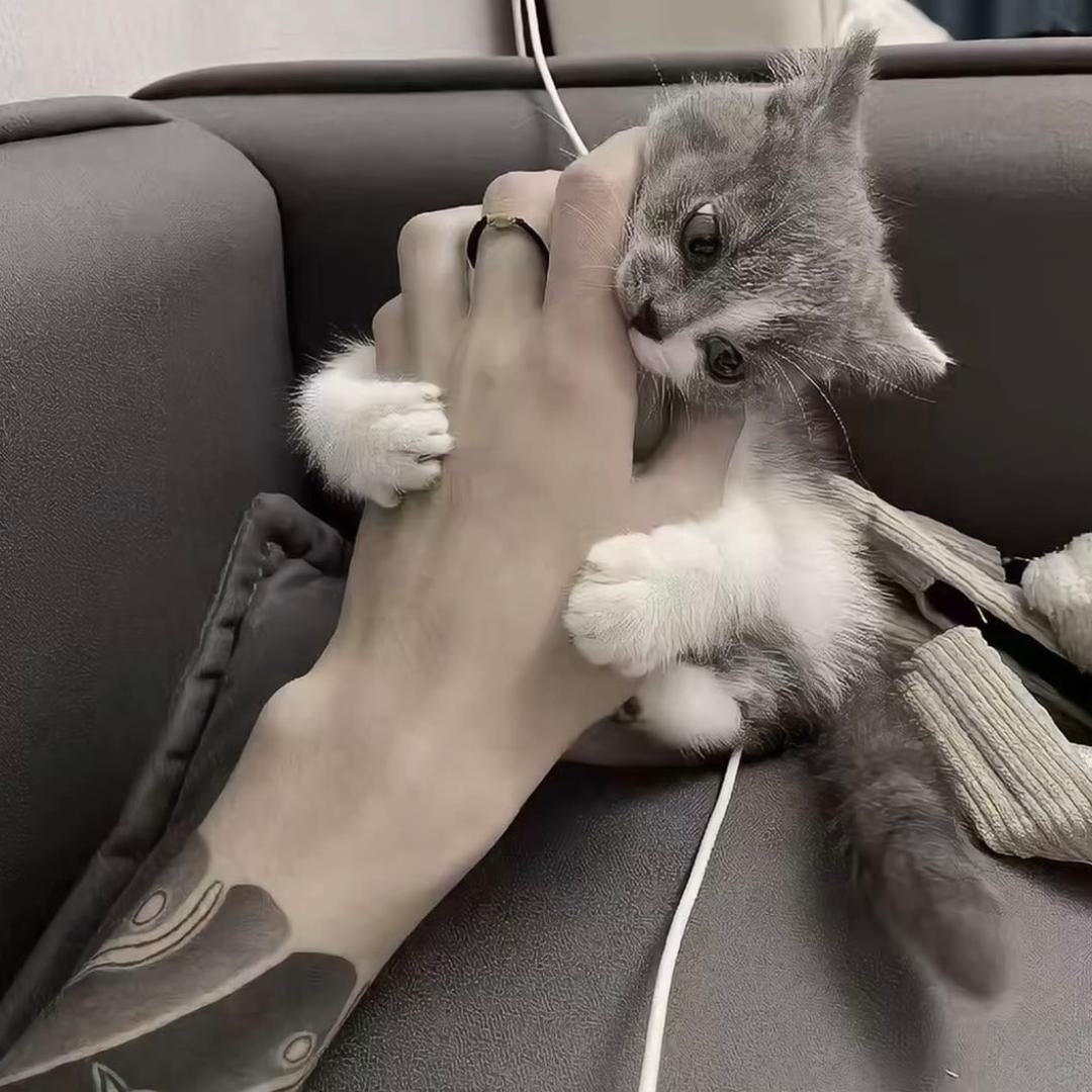 有点小U伤.