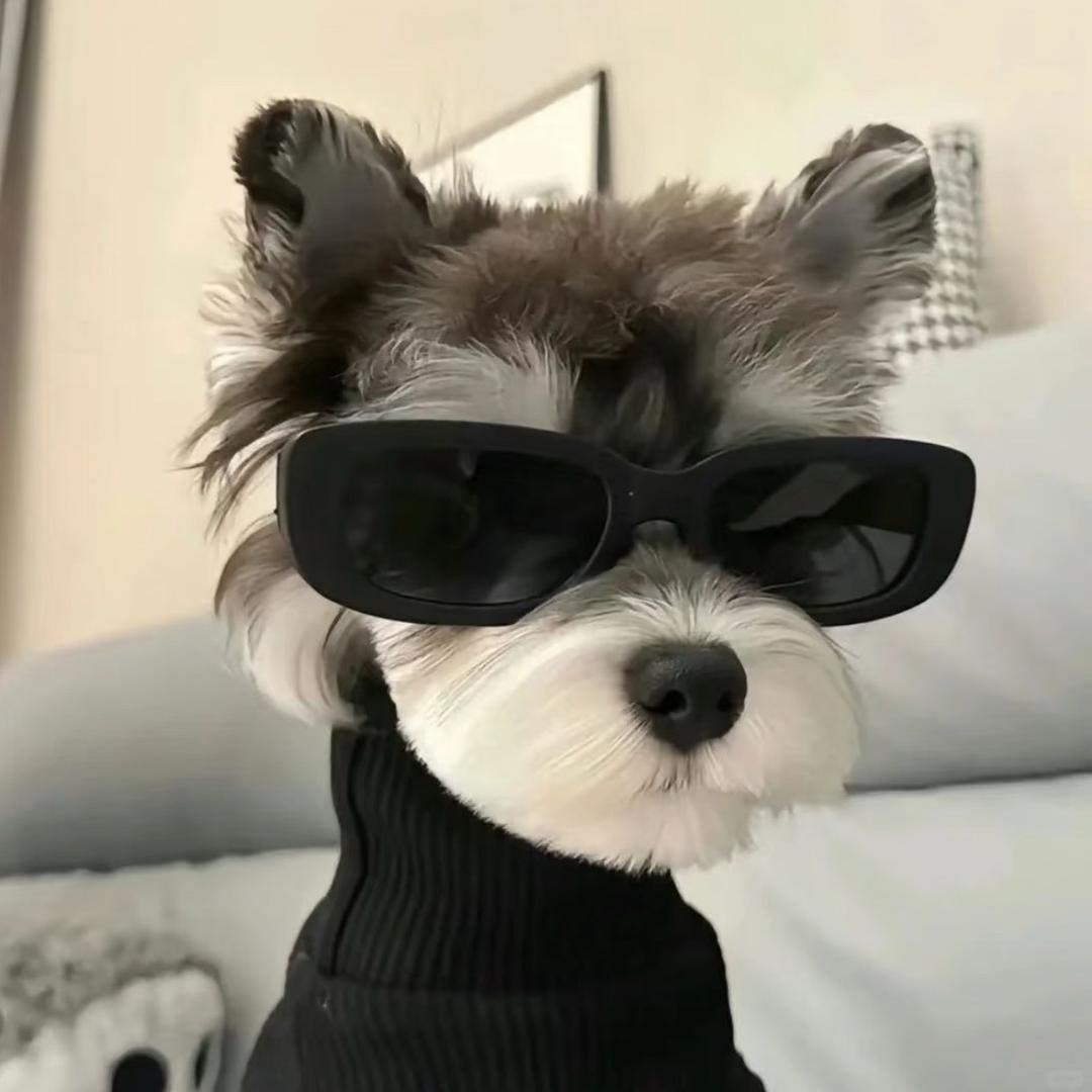 不理不理左卫门