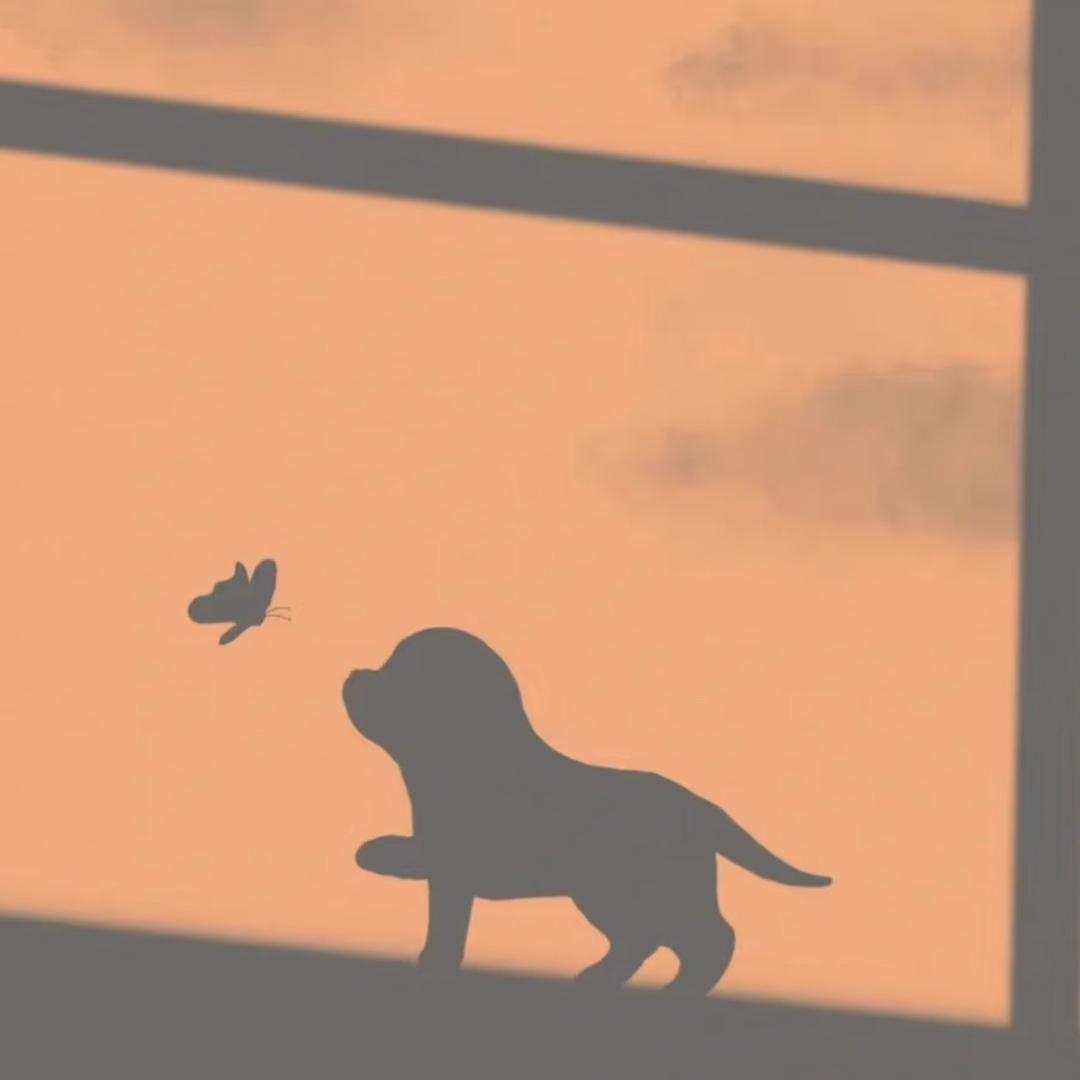 曦*