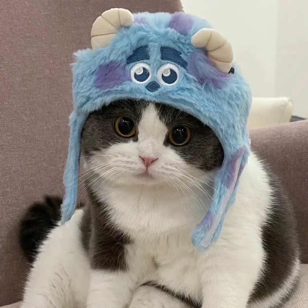 黄焖鸡大王