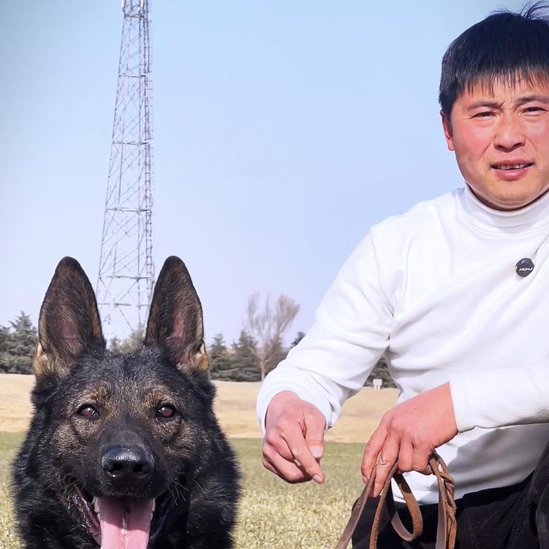归宿东德犬舍