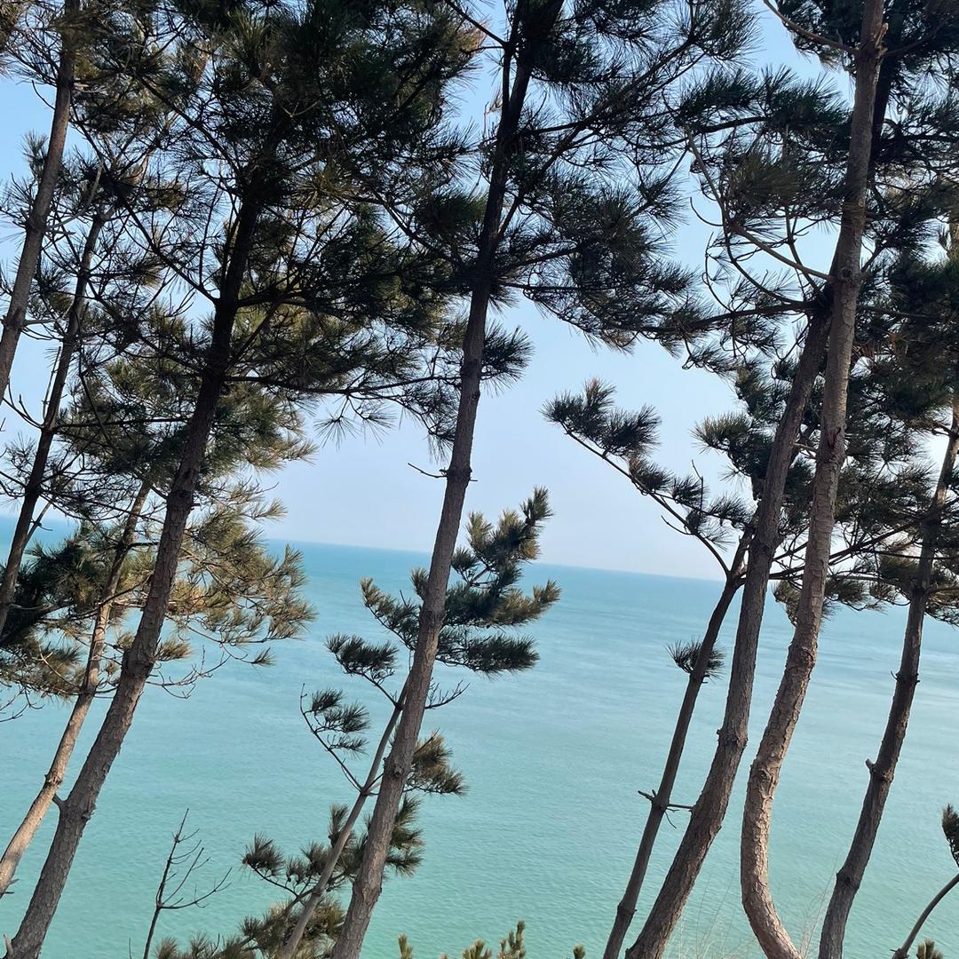 俩宝妈烘焙日常