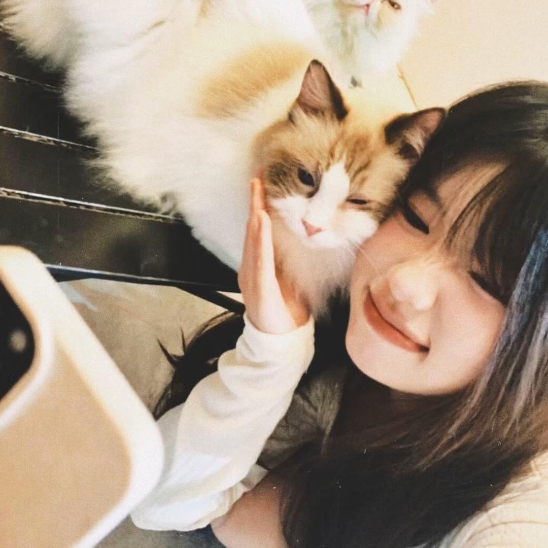 杨咩咩