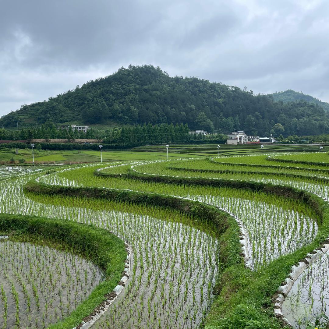 寻补坊