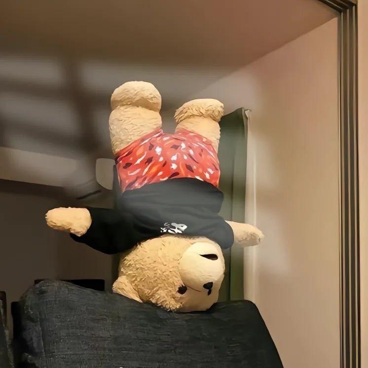 嘉伟收车（价格你说）