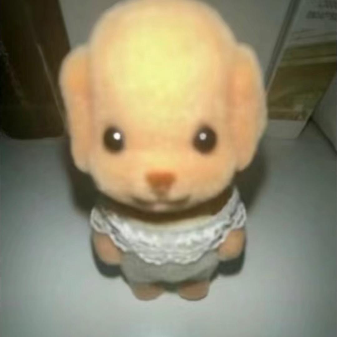 卡卡
