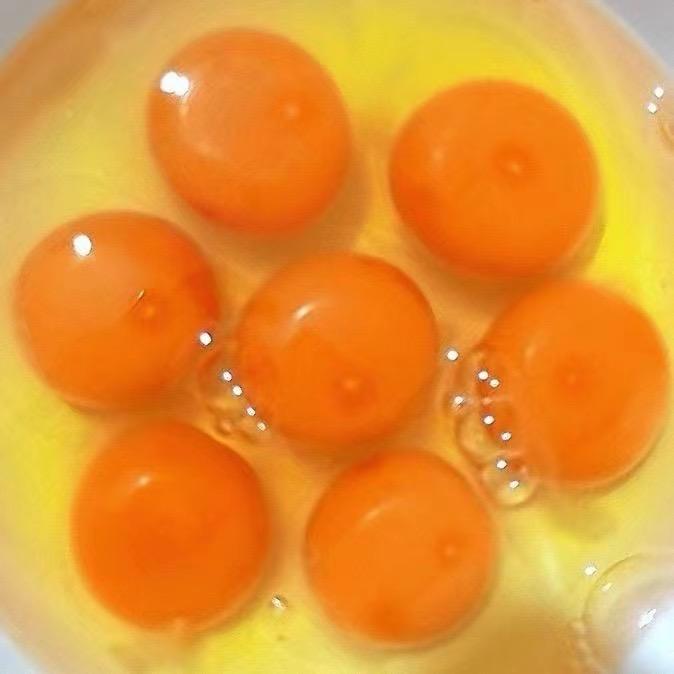 土鸡蛋哥
