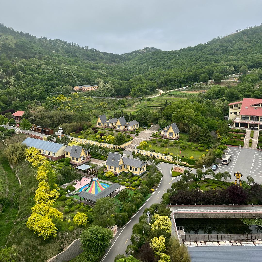 🌻～木子～🌻