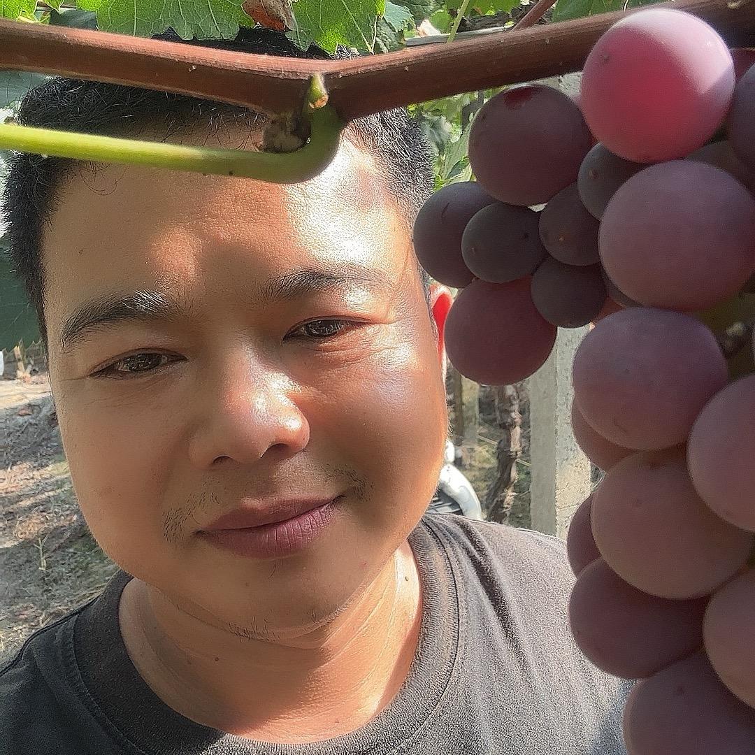 新农人·丰哥（葡萄🍇）