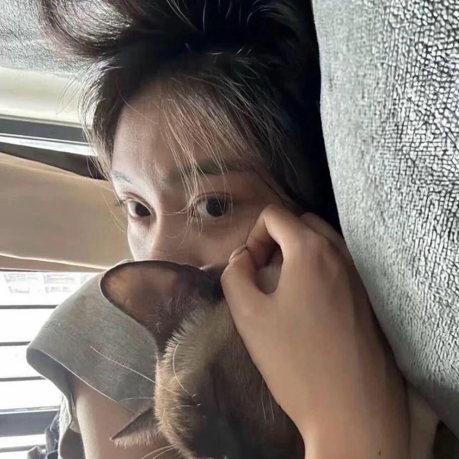 @小刺猬🦔