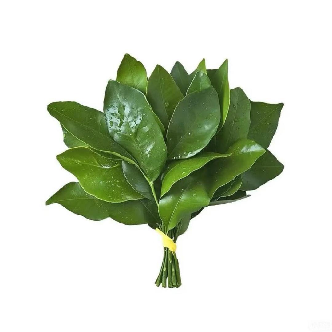 爱吃香菜