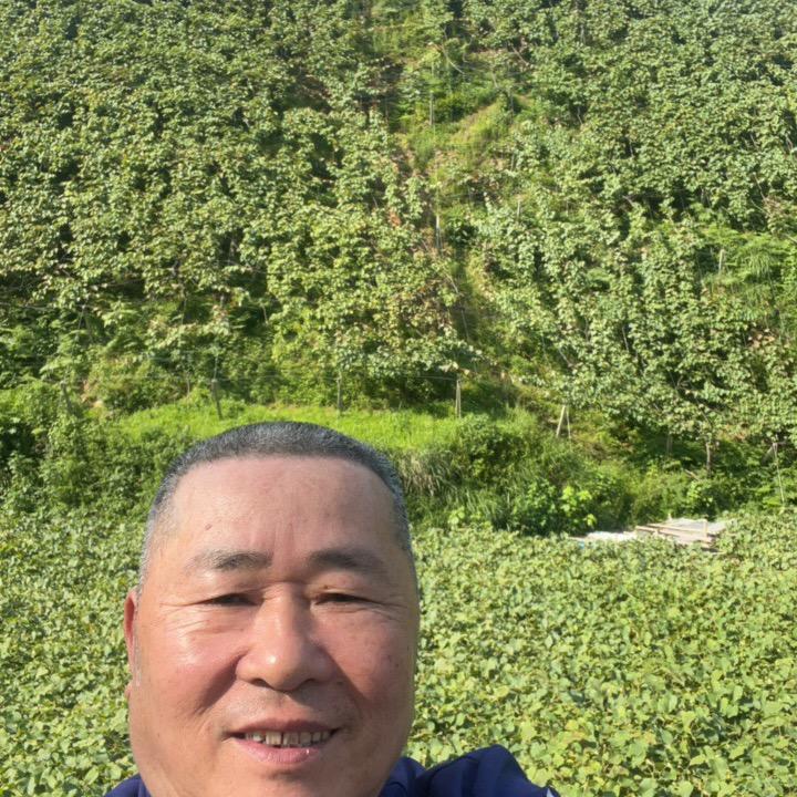 阿伟哥