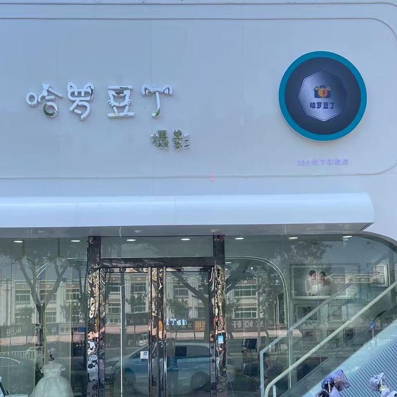 哈罗豆丁摄影