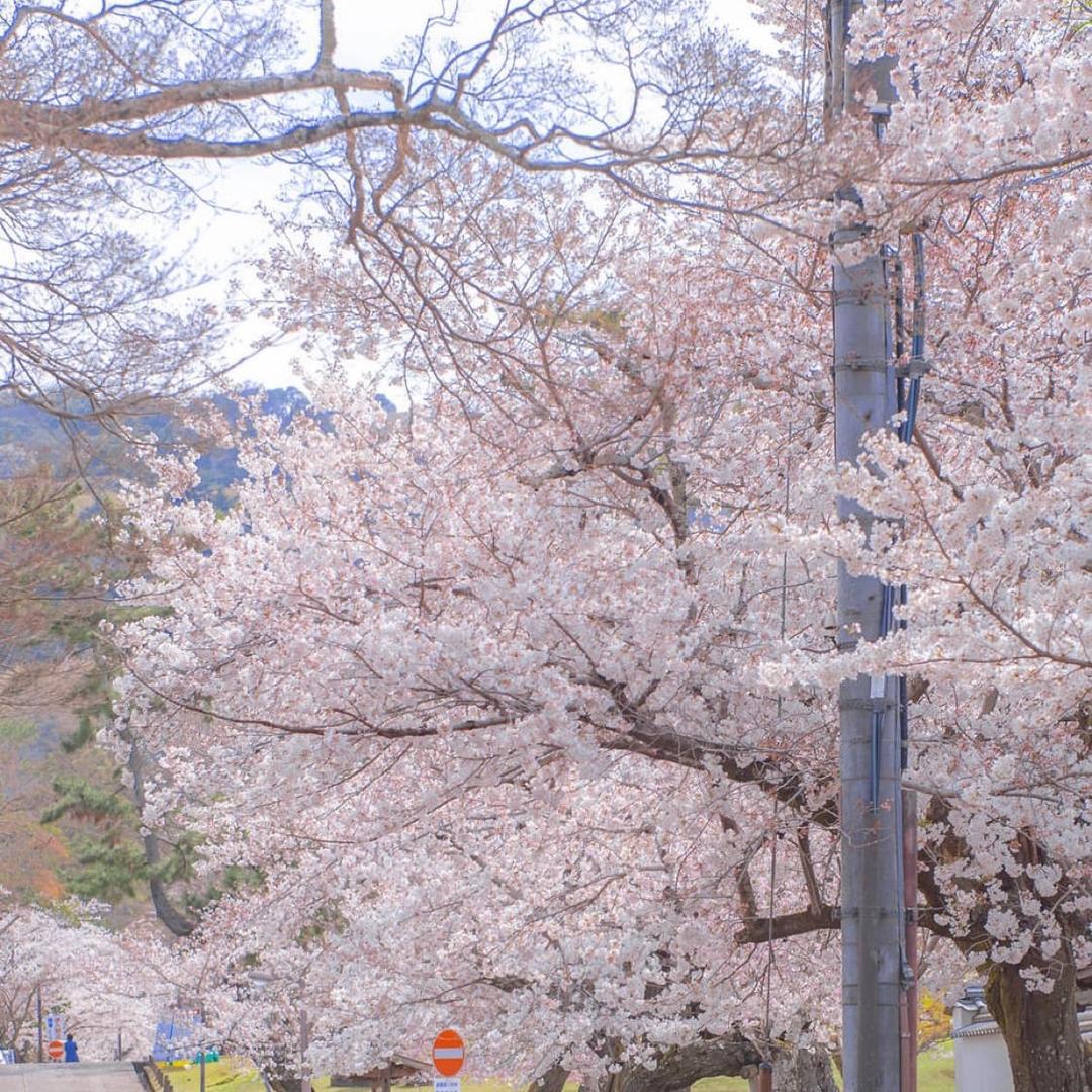 永辉超市唐山吾悦店