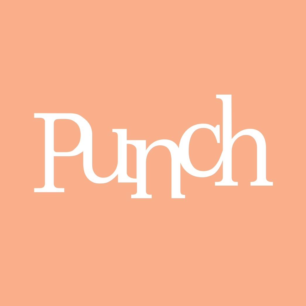PUNCH STORE