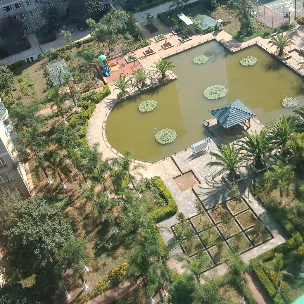 芬芳的欢欣果👨‍👩‍👧👫