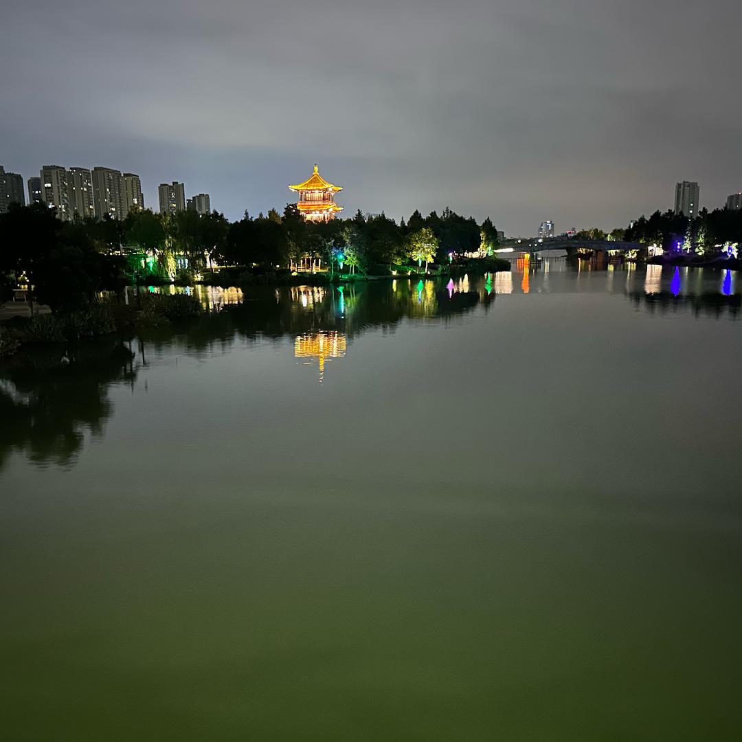 杨先生～
