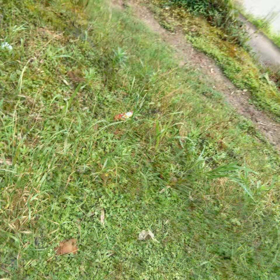 品牌服装尾货货源批发——小廖@