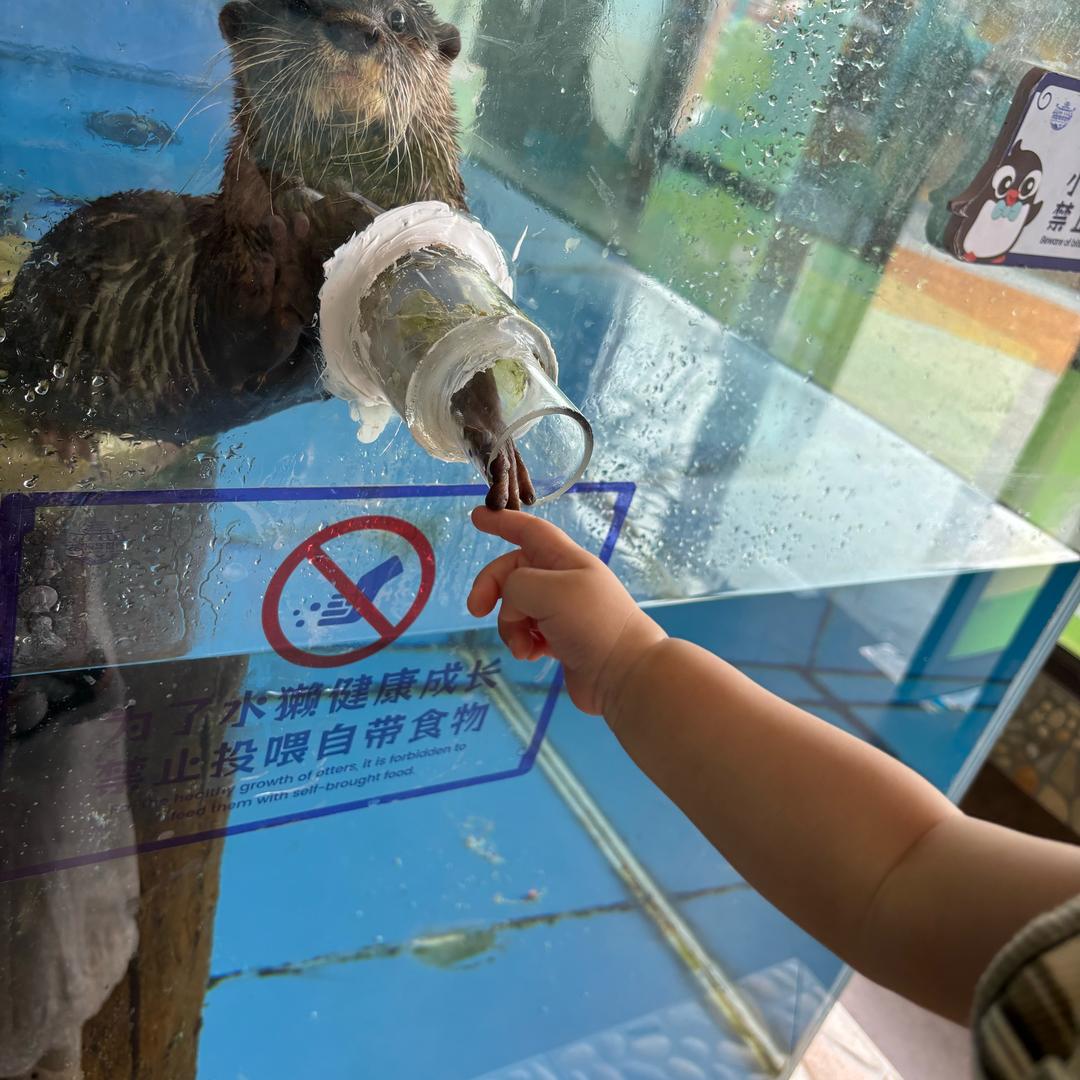 三毛流浪记